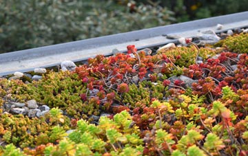 the cost of Croston green roof installation