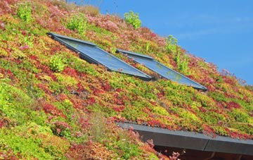 Croston living roof systems