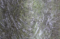 Croston fibreglass roof work